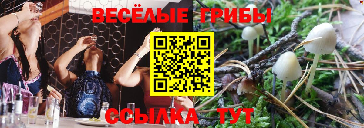 Трёхгорный  Галлюциногенные грибы Magic Shrooms  Галлюциногенные грибы Psilocybe  Вход с VPN 