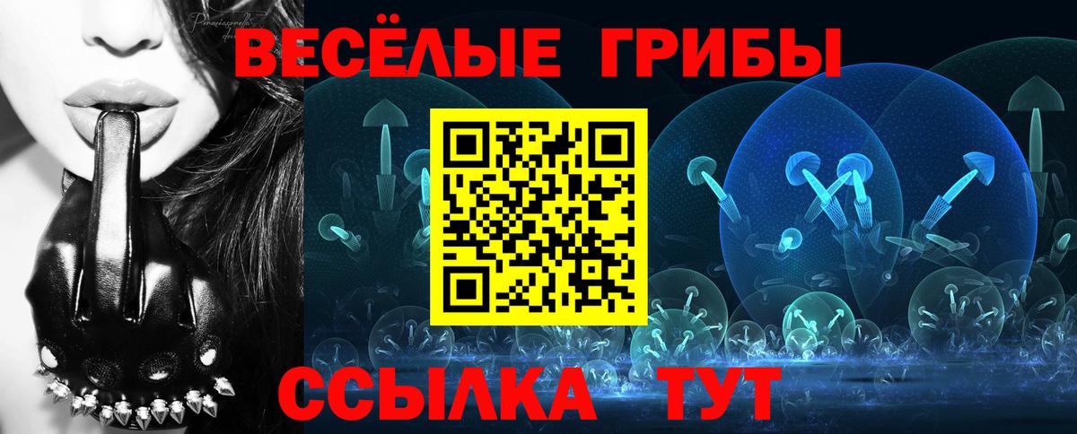 Псилоцибиновые грибы прущие грибы Трёхгорный